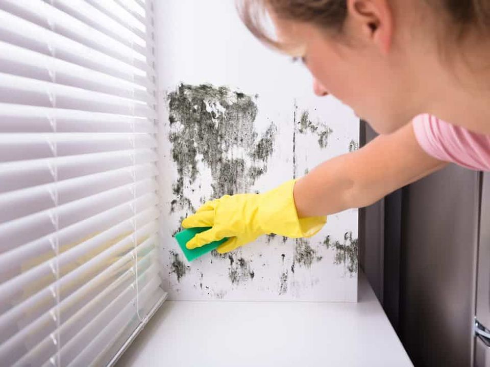 10 easy ways to prevent mould growing in your home